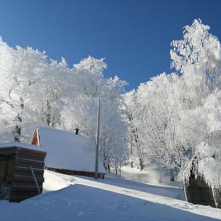Mountain Village Žabljak Kültér fotó