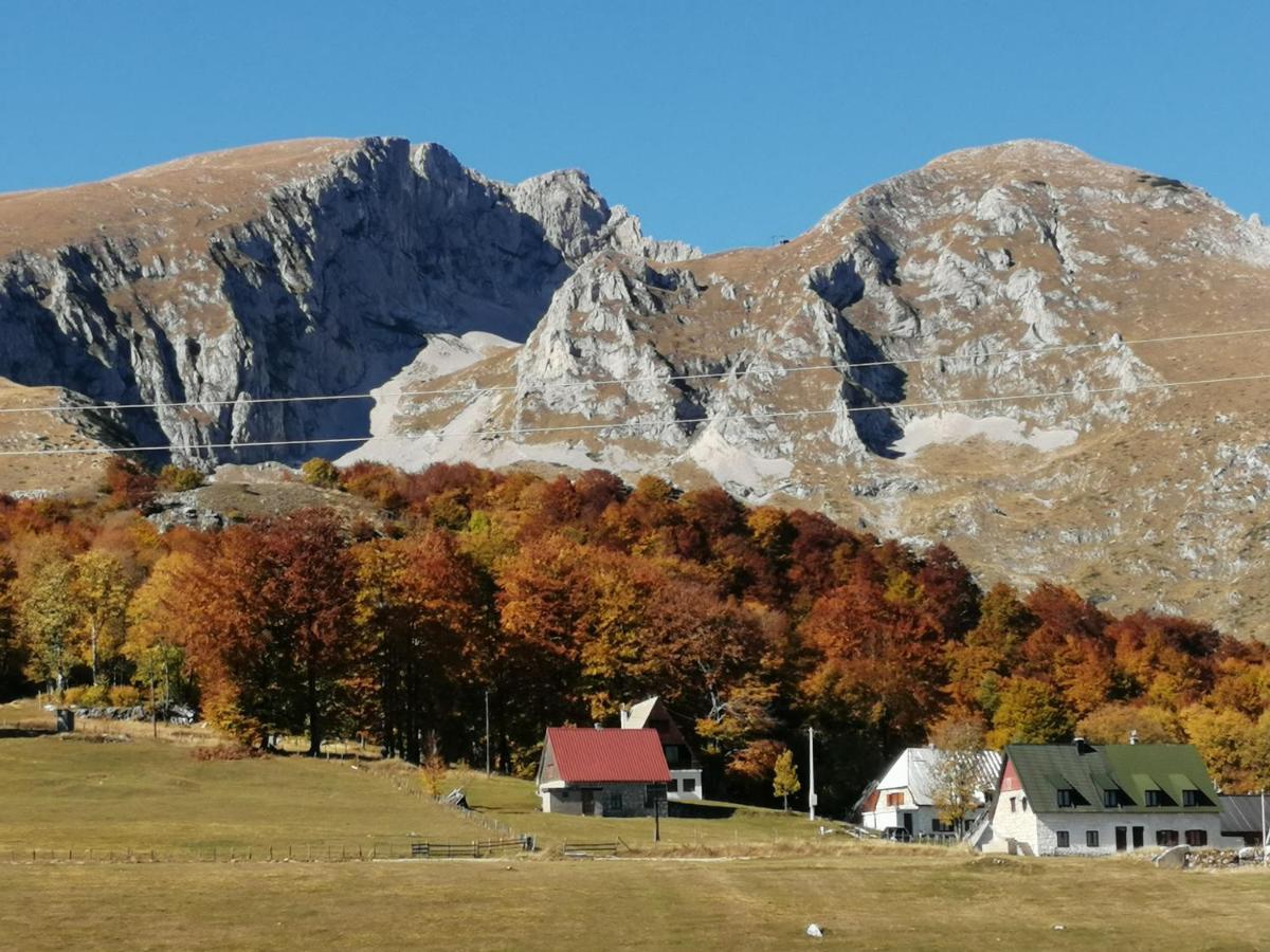 Mountain Village Žabljak Kültér fotó