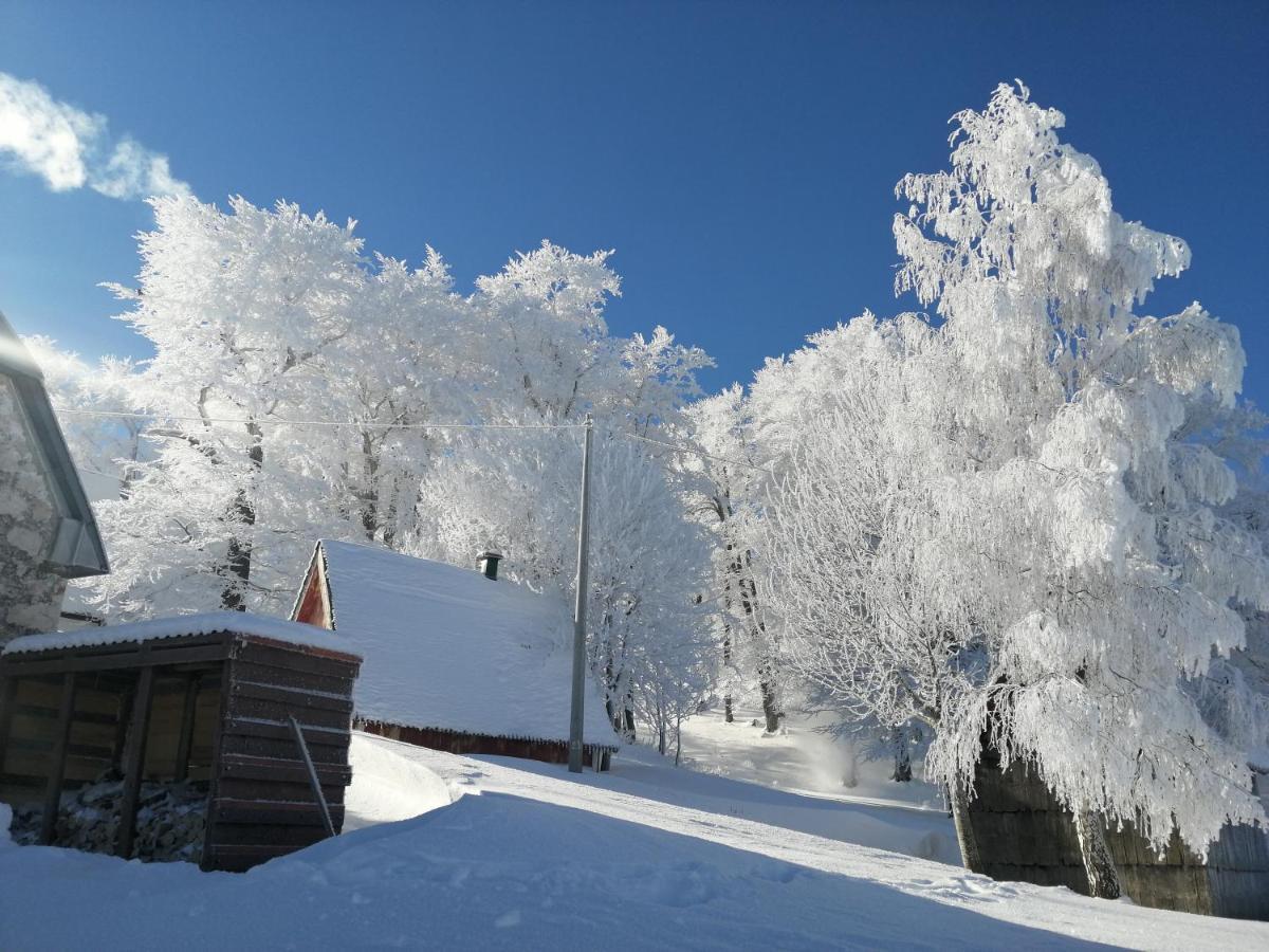Mountain Village Žabljak Kültér fotó